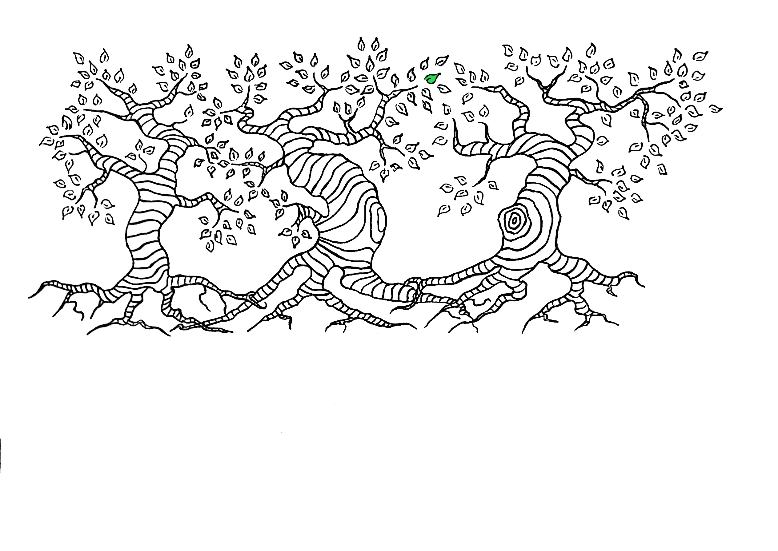 Rysunek splecionych drzew
